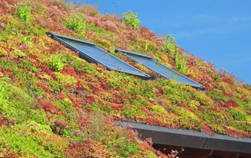 Shiptonthorpe living roof systems