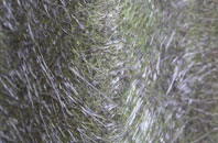 Shiptonthorpe fibreglass roof work